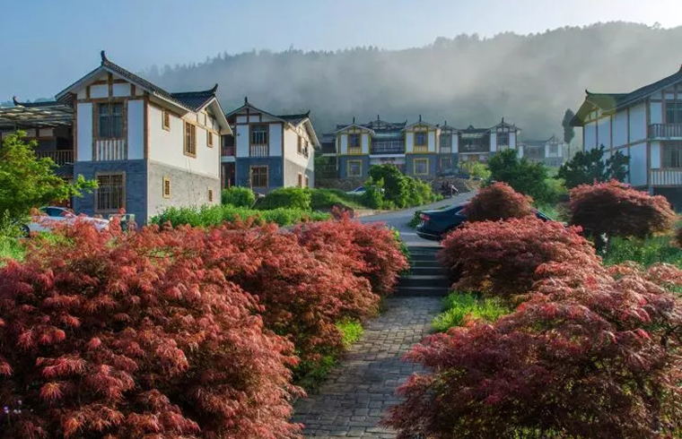 彩色產(chǎn)業(yè)風景區(qū)