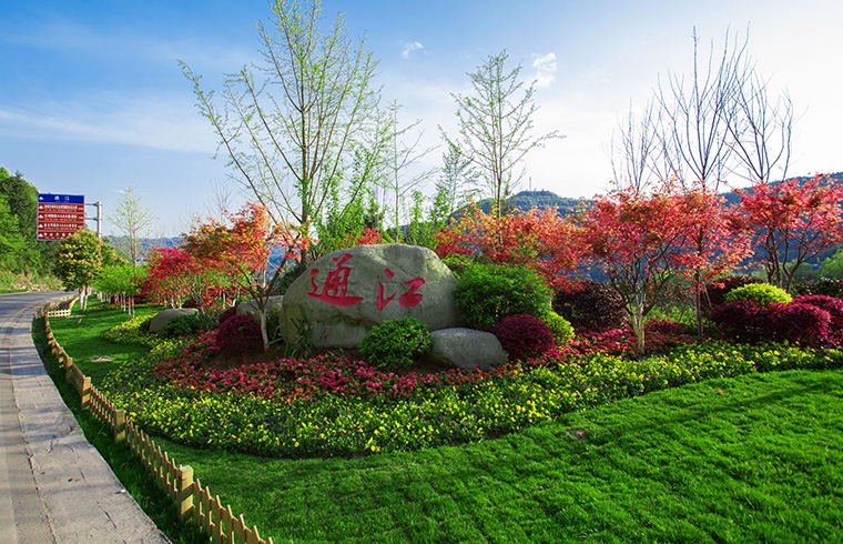 彩色生態(tài)修復