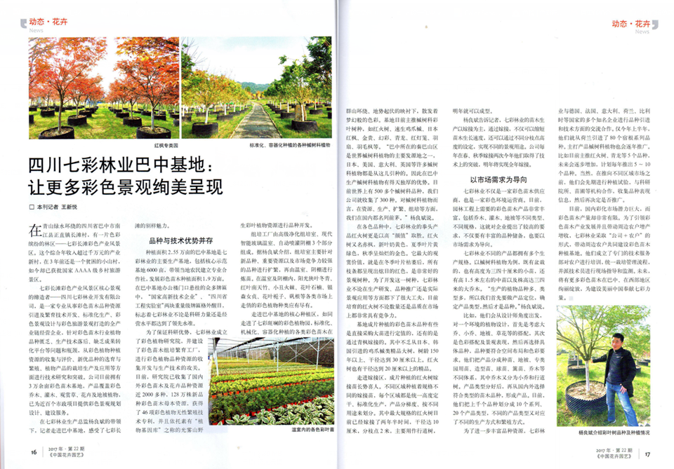 四川七彩林業(yè)巴中基地：讓更多彩色景觀絢美呈現(xiàn)