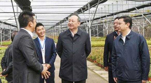 聚焦七彩 | 四川省委副書記、省長尹力調(diào)研七彩林業(yè)