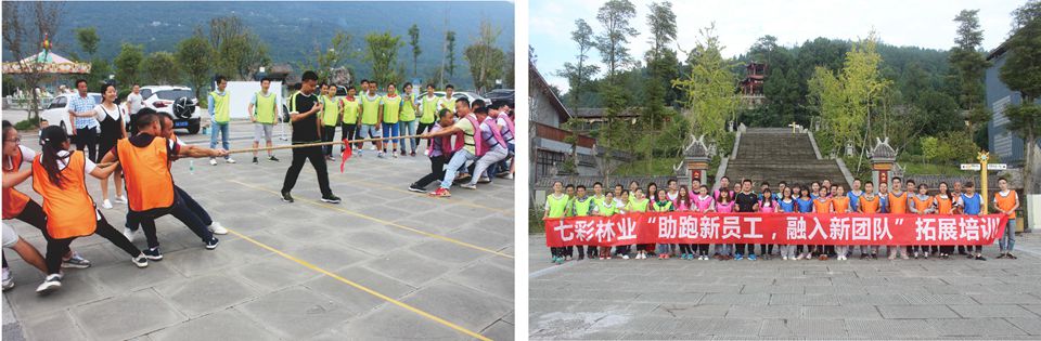 助跑新員工 融入新團隊