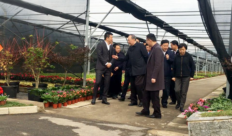 聚焦七彩 | 四川省委副書記、省長尹力調(diào)研七彩林業(yè)