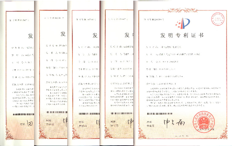 聚焦七彩 | 四川省委副書記、省長尹力調(diào)研七彩林業(yè)