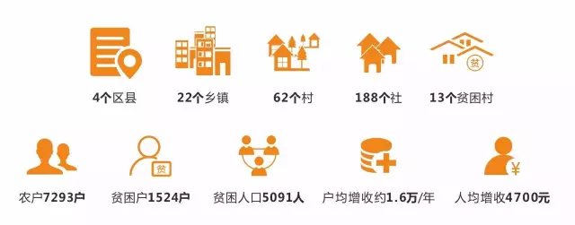 聚焦七彩 | 四川省委副書記、省長尹力調(diào)研七彩林業(yè)