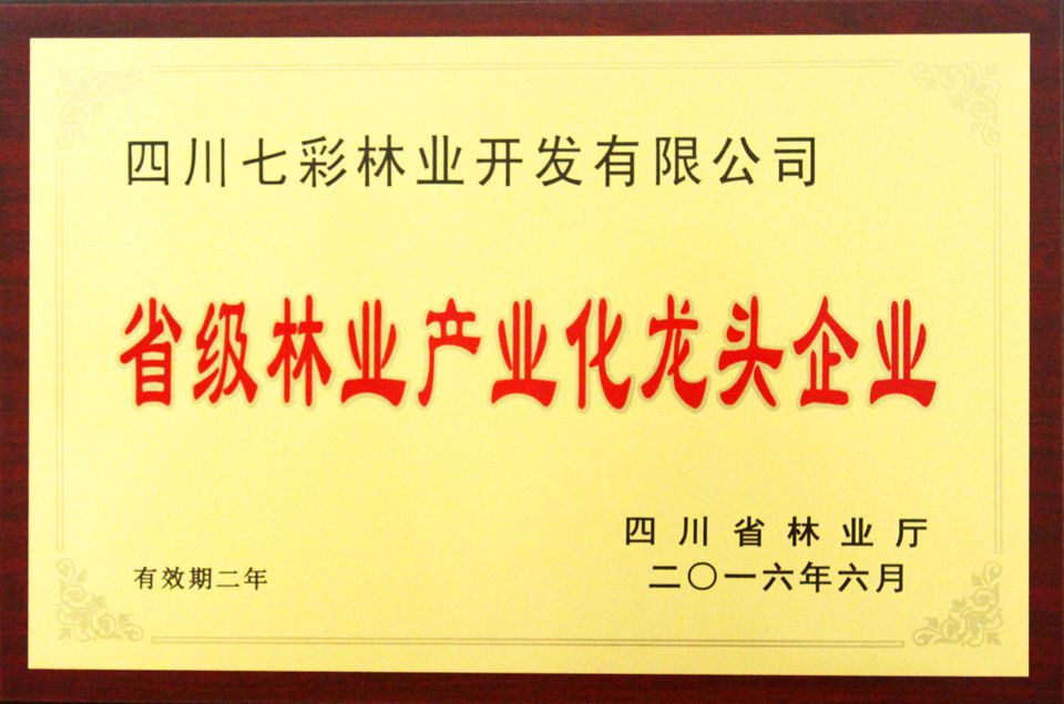 省級(jí)林業(yè)產(chǎn)業(yè)化龍頭企業(yè)