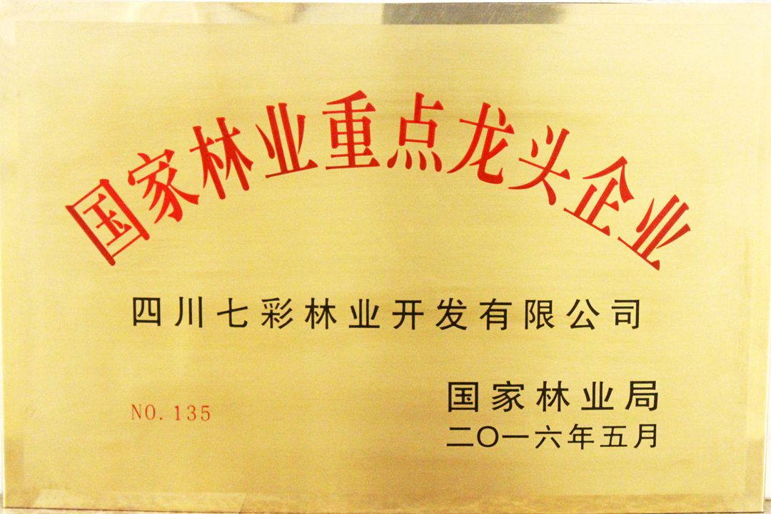國(guó)家林業(yè)重點(diǎn)龍頭企業(yè)