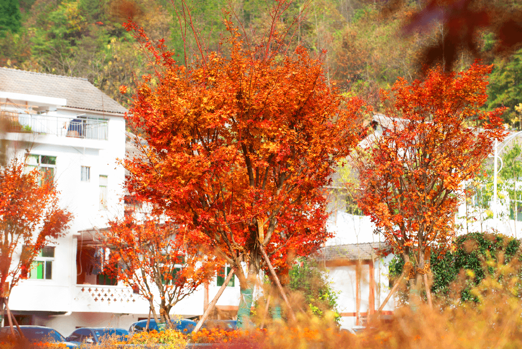 光霧山風(fēng)景區(qū)