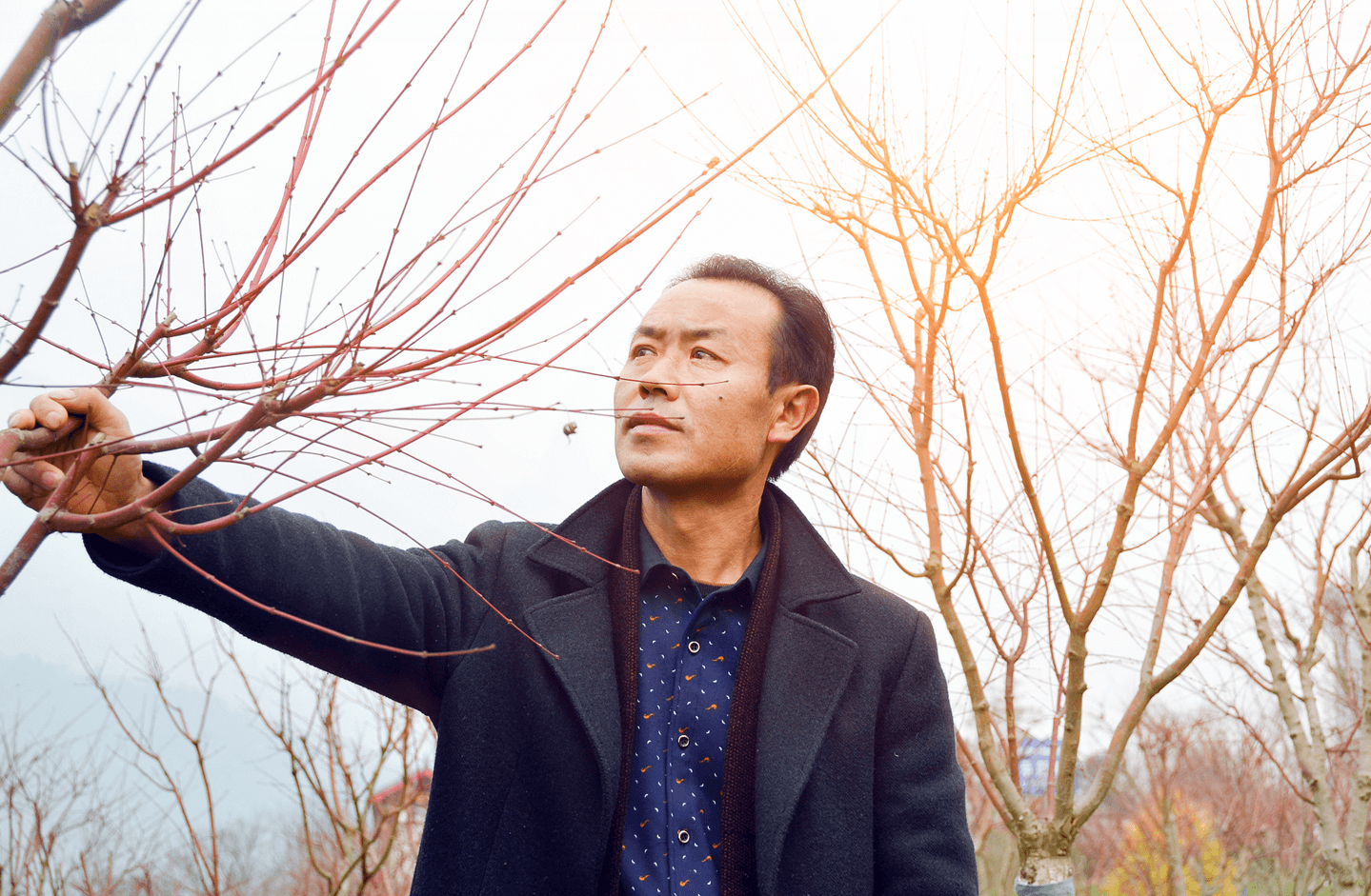 國(guó)家級(jí)星創(chuàng)天地“七彩林業(yè)星創(chuàng)天地”，托起秦巴山人的致富汗水和創(chuàng)業(yè)夢(mèng)想