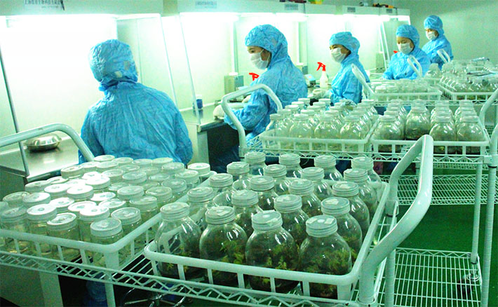 國(guó)家級(jí)星創(chuàng)天地“七彩林業(yè)星創(chuàng)天地”，托起秦巴山人的致富汗水和創(chuàng)業(yè)夢(mèng)想