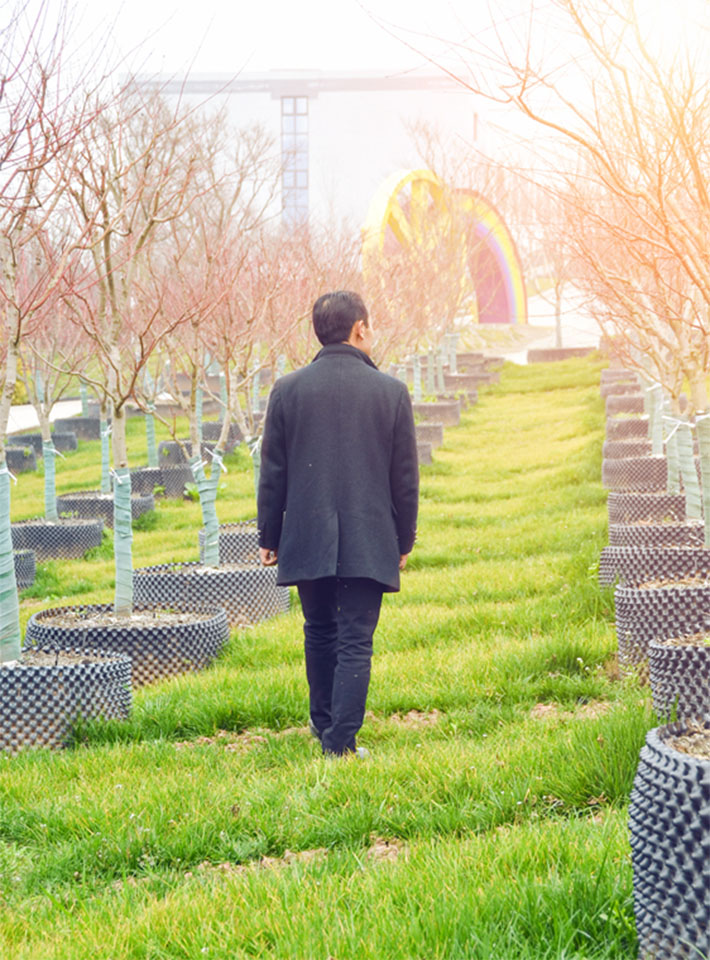 國(guó)家級(jí)星創(chuàng)天地“七彩林業(yè)星創(chuàng)天地”，托起秦巴山人的致富汗水和創(chuàng)業(yè)夢(mèng)想