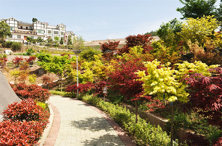 七彩林業(yè)榮獲四川省“萬企幫萬村”精準(zhǔn)扶貧行動示范單位