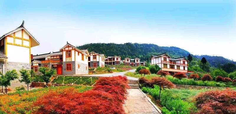 《巴中日?qǐng)?bào)》專題報(bào)道七彩林業(yè)科技扶貧