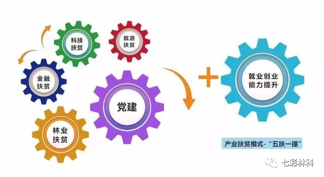 重磅來襲！七彩林業(yè)榮獲“四川省建設(shè)長(zhǎng)江上游生態(tài)屏障先進(jìn)集體”稱號(hào)！