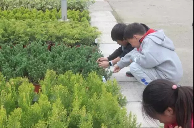 七彩公益|走進春天，放飛快樂公益活動