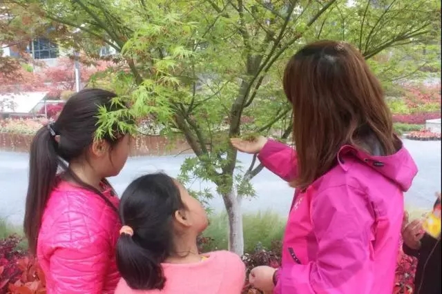 七彩公益|走進春天，放飛快樂公益活動