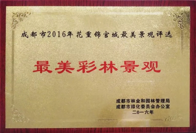七彩出品|蒲江縣成佳鎮(zhèn)七彩茶林，春日里的調(diào)色板