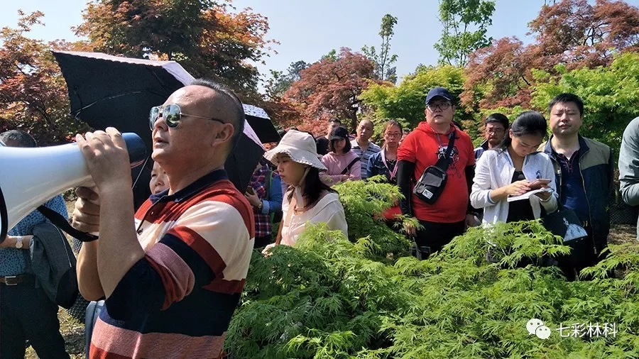 聚焦七彩|成都市風(fēng)景園林學(xué)會調(diào)研蒲江七彩茶林