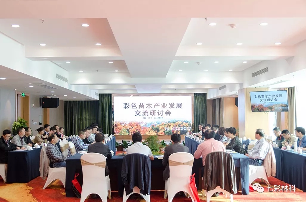 聚焦七彩|彩色苗木產業(yè)發(fā)展交流研討會在巴中順利舉行