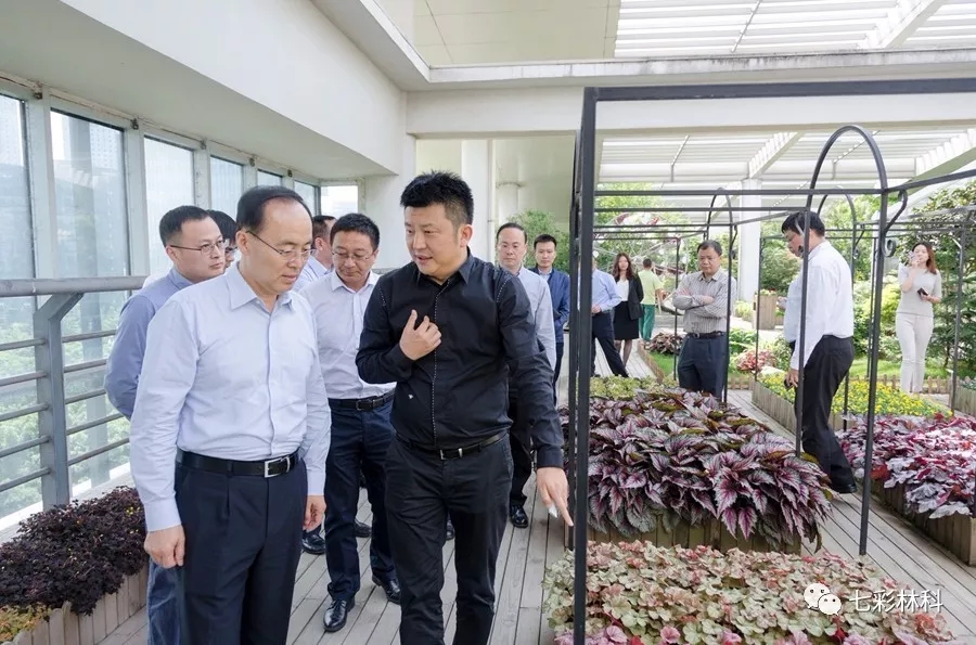 聚焦七彩|深圳證券交易所理事長吳利軍調研七彩林業(yè)