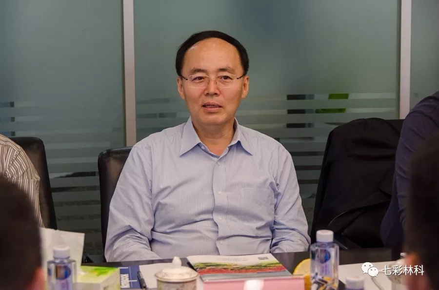 聚焦七彩|深圳證券交易所理事長吳利軍調研七彩林業(yè)
