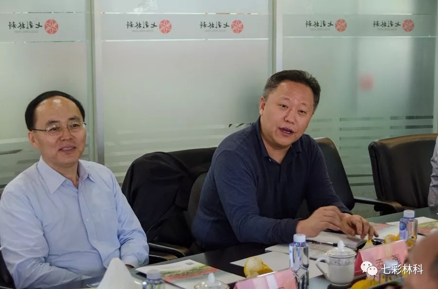 聚焦七彩|深圳證券交易所理事長吳利軍調研七彩林業(yè)