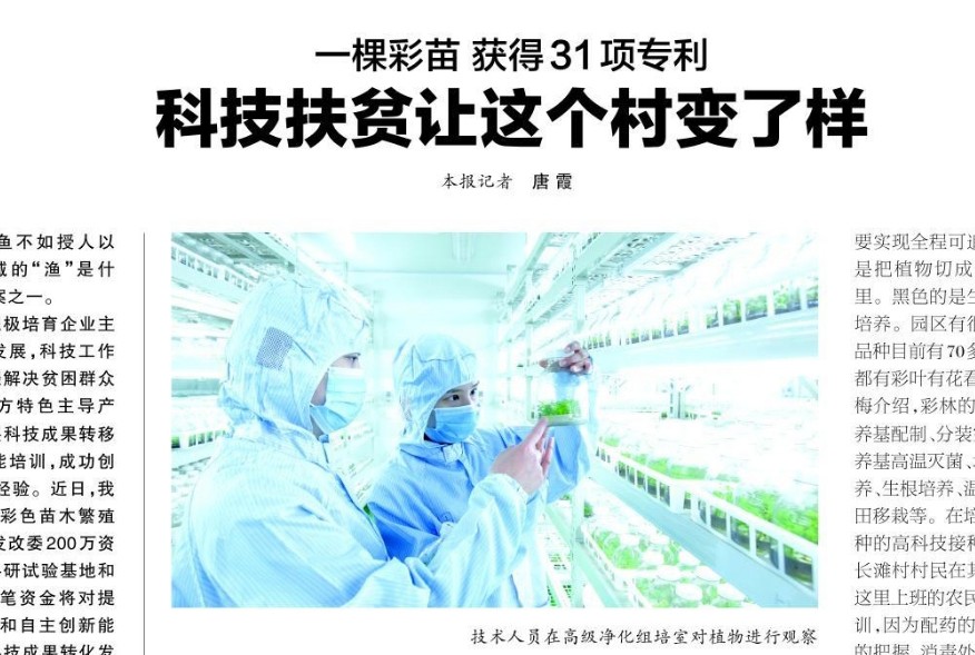 一棵彩苗獲得31 項(xiàng)專利，科技扶貧讓這個(gè)村變了樣