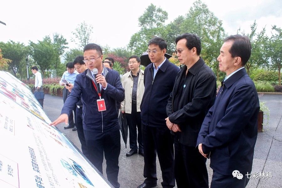 聚焦七彩|全國(guó)工商聯(lián)副主席謝經(jīng)榮調(diào)研七彩林業(yè)