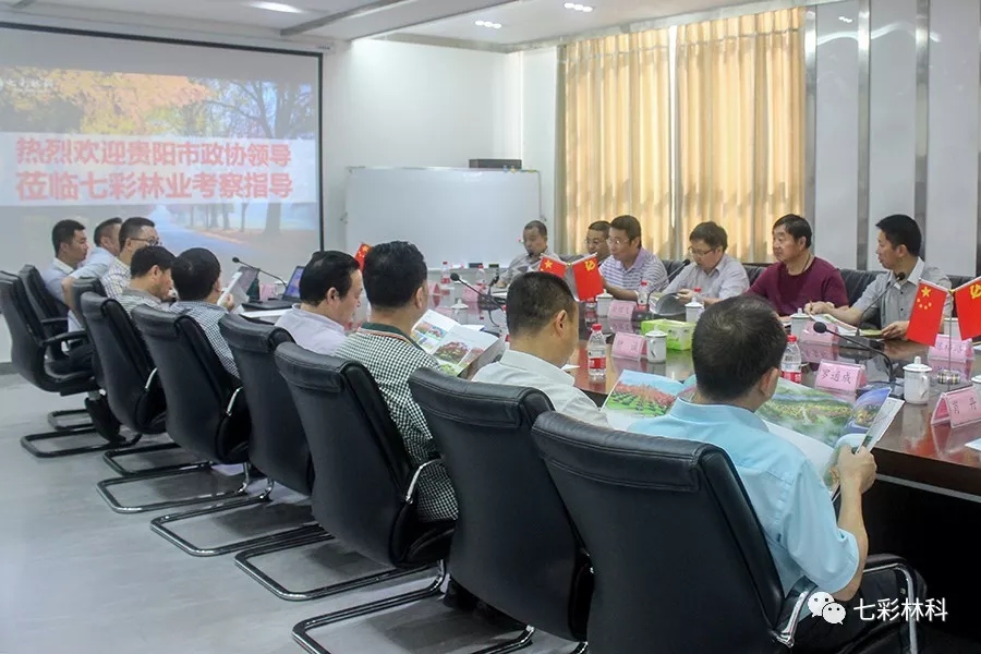 聚焦七彩|貴陽(yáng)市政協(xié)副主席喻理飛率考察學(xué)習(xí)組調(diào)研七彩林業(yè)