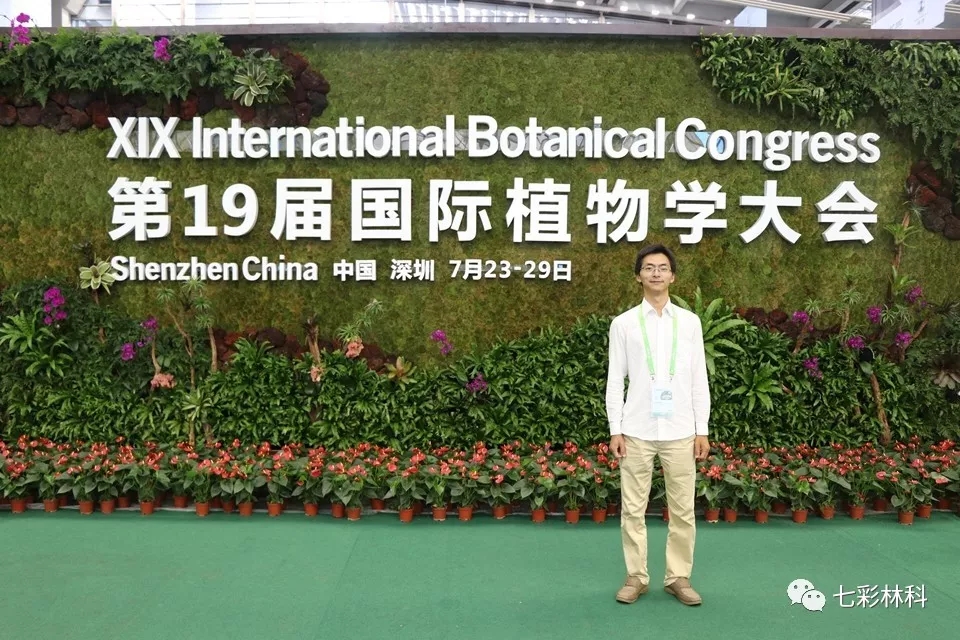 七彩匠心|何程相：一草一木總關(guān)情，浮云不歇，花事不了