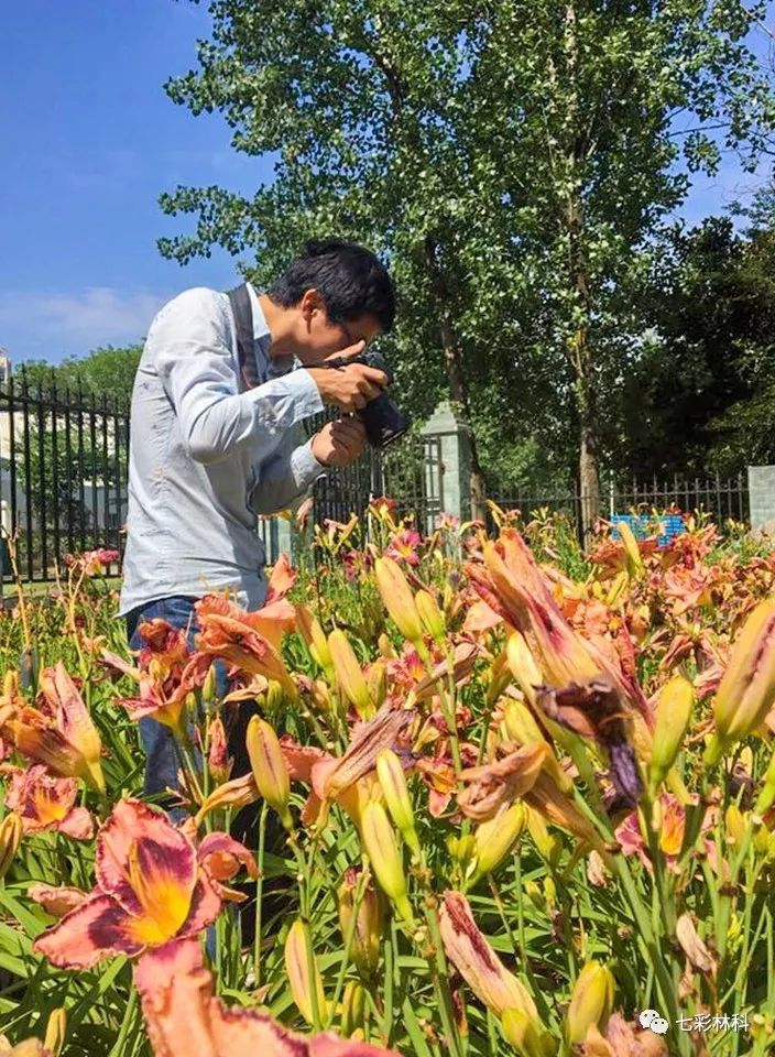 七彩匠心|何程相：一草一木總關(guān)情，浮云不歇，花事不了