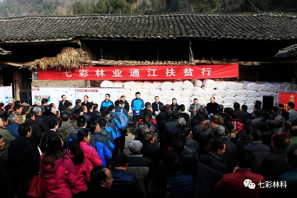 聚焦七彩|回眸看發(fā)展，這半年七彩的腳步從未停下！