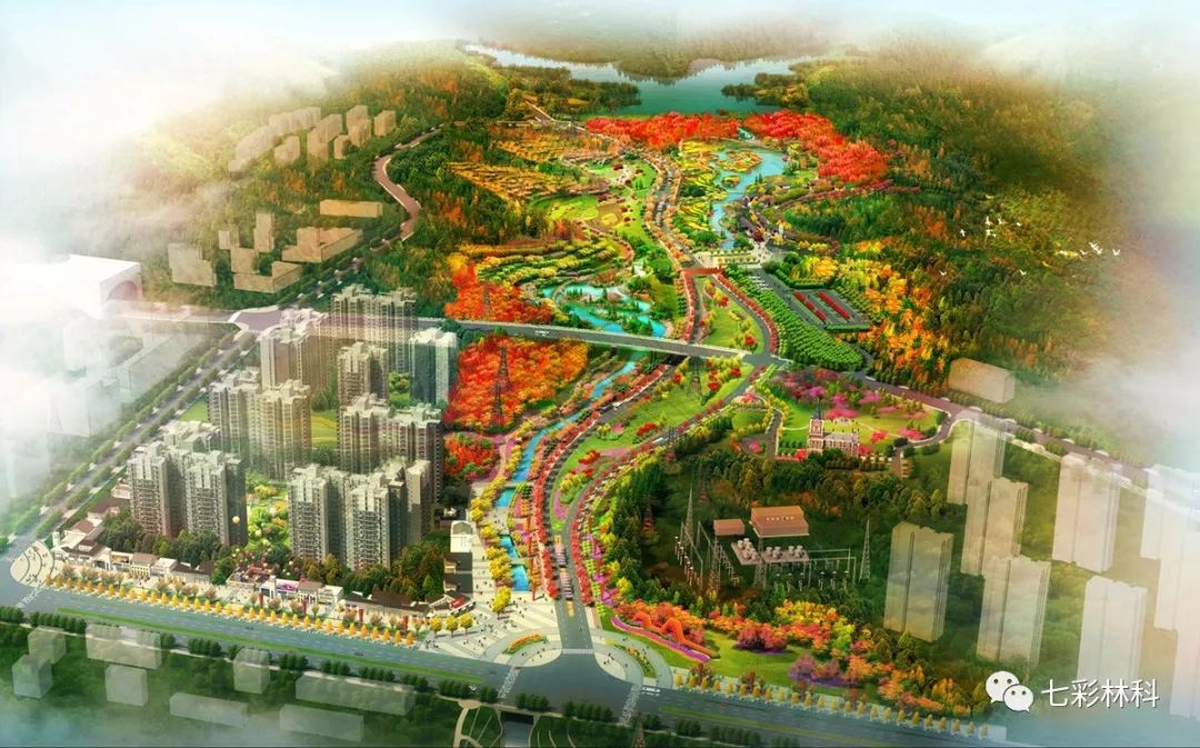 聚焦七彩|回眸看發(fā)展，這半年七彩的腳步從未停下！