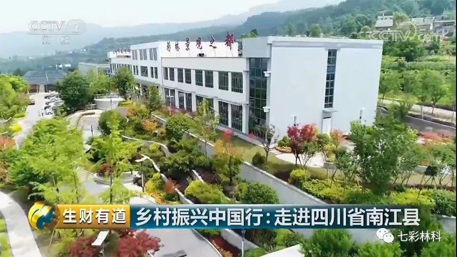 聚焦七彩|回眸看發(fā)展，這半年七彩的腳步從未停下！