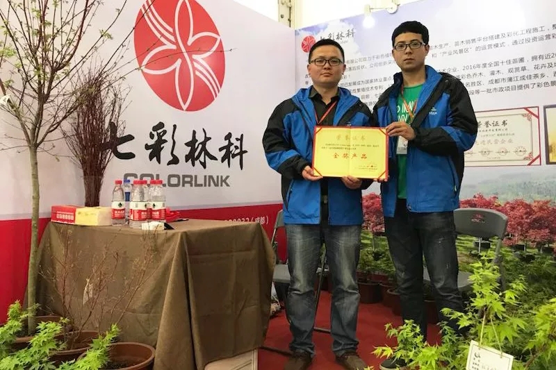 聚焦七彩|回眸看發(fā)展，這半年七彩的腳步從未停下！