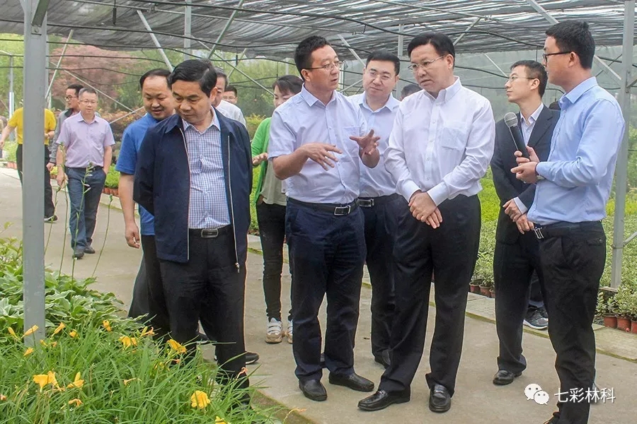 聚焦七彩|回眸看發(fā)展，這半年七彩的腳步從未停下！