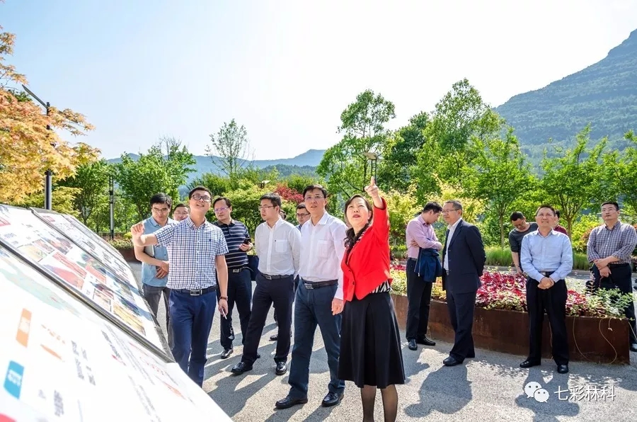 聚焦七彩|回眸看發(fā)展，這半年七彩的腳步從未停下！