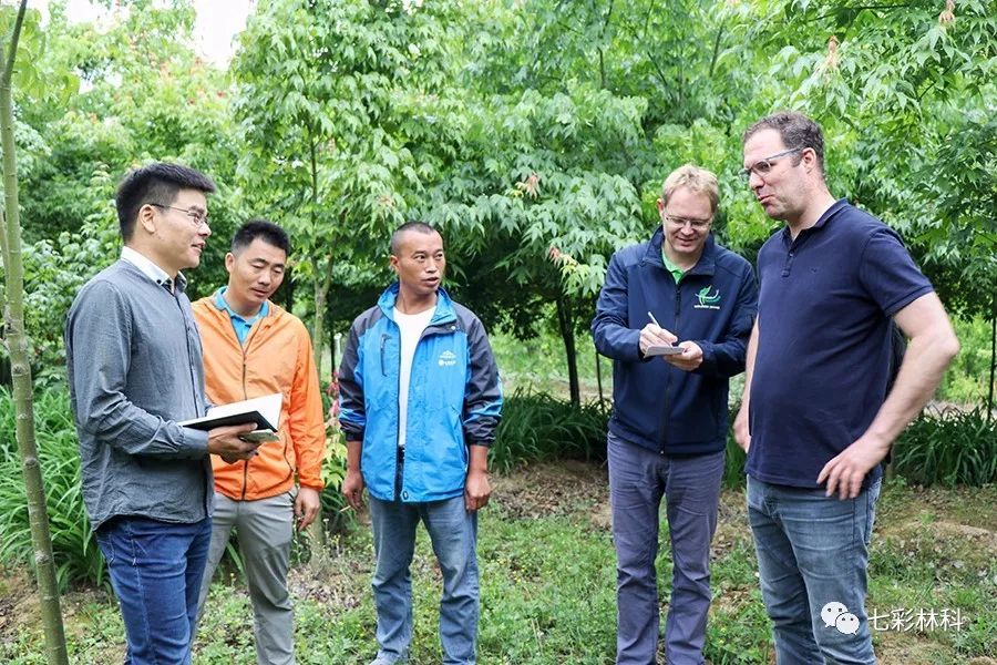 聚焦七彩|回眸看發(fā)展，這半年七彩的腳步從未停下！