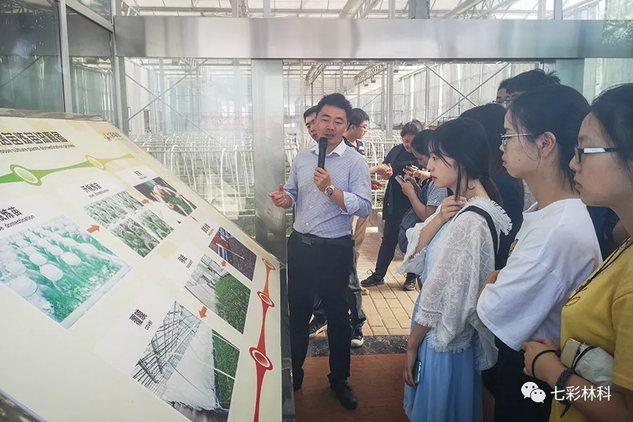 聚焦七彩|回眸看發(fā)展，這半年七彩的腳步從未停下！