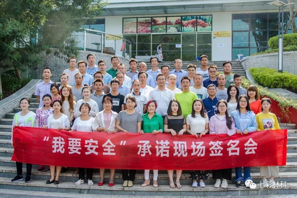 聚焦七彩|回眸看發(fā)展，這半年七彩的腳步從未停下！