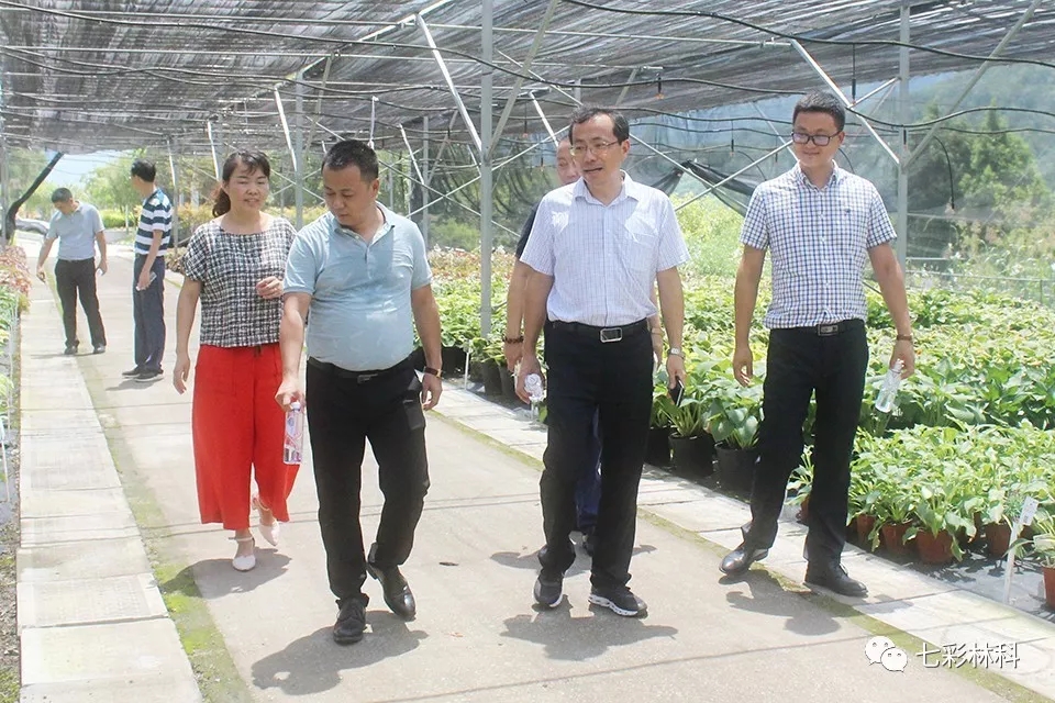 圖說七彩 | 八月新聞匯