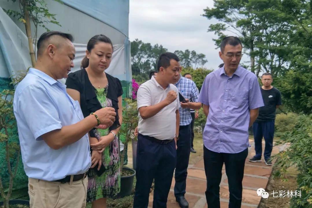 圖說七彩 | 八月新聞匯