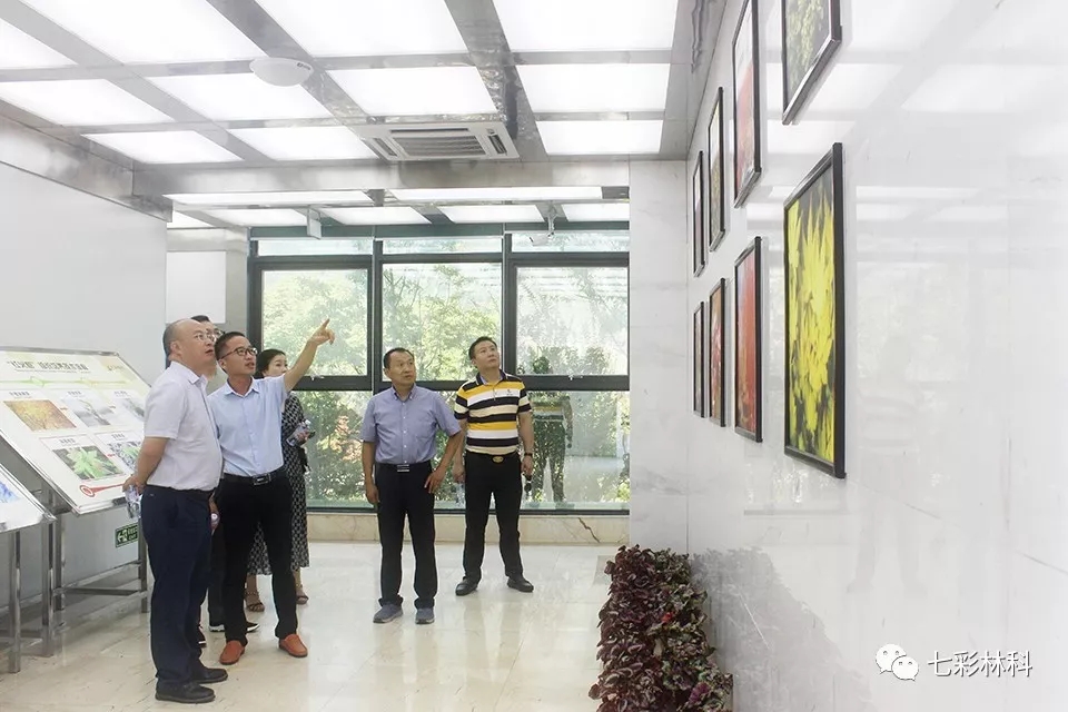 圖說七彩 | 八月新聞匯