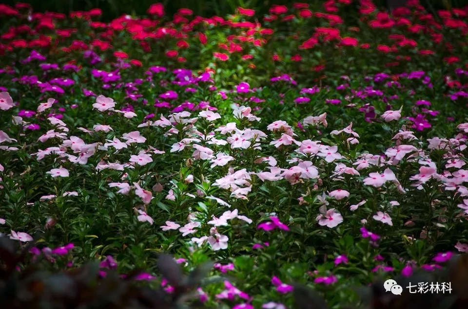 圖說七彩 | 八月新聞匯