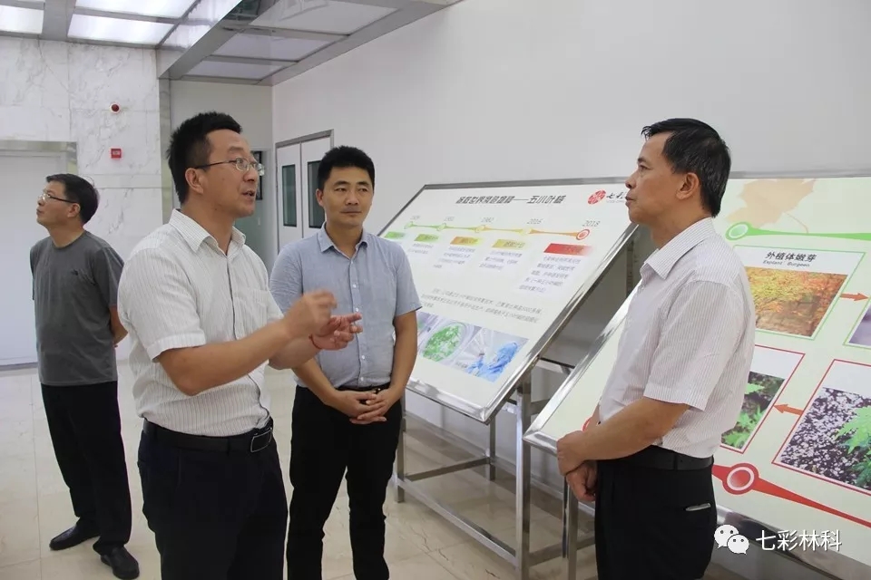 聚焦七彩|中國綠化基金會(huì)主席陳述賢為七彩林業(yè)授旗并到公司調(diào)研