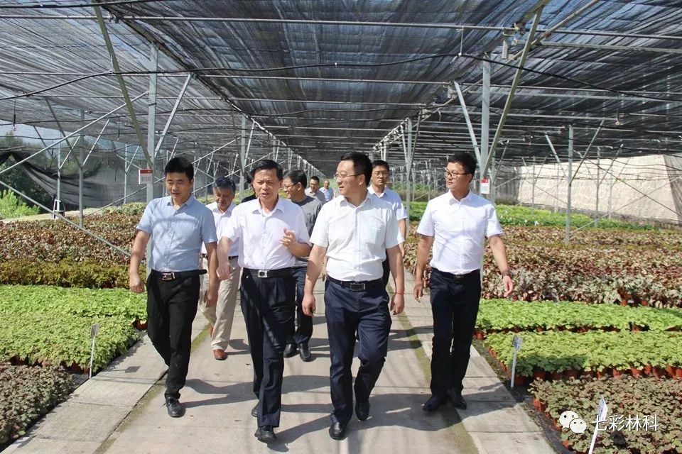 聚焦七彩|中國綠化基金會(huì)主席陳述賢為七彩林業(yè)授旗并到公司調(diào)研