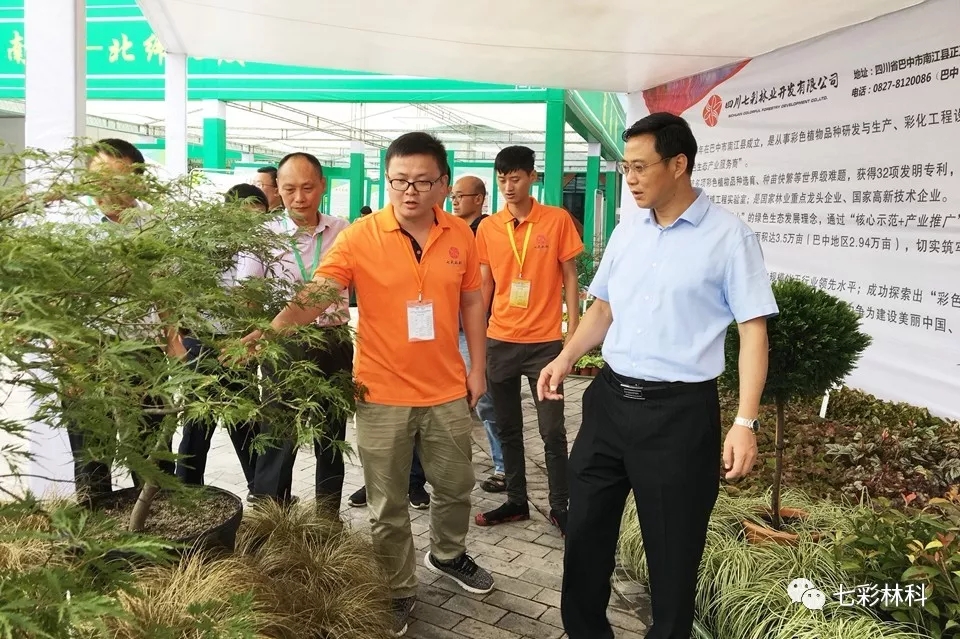 聚焦七彩|中國綠化基金會(huì)主席陳述賢為七彩林業(yè)授旗并到公司調(diào)研