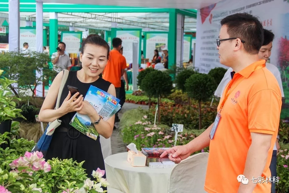 聚焦七彩|中國綠化基金會(huì)主席陳述賢為七彩林業(yè)授旗并到公司調(diào)研