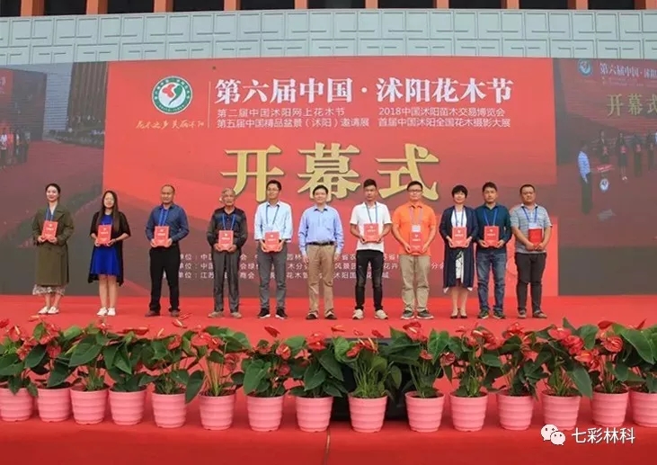 聚焦七彩|七彩林業(yè)“青龍”斬獲第六屆中國·沭陽花木節(jié)產(chǎn)品金獎