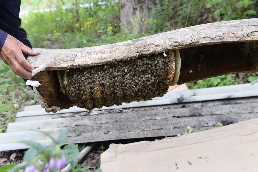 打個(gè)總結(jié)，速度圍觀，蒲江對口幫扶瀘定遞出一份漂亮的階段性“成績單”~