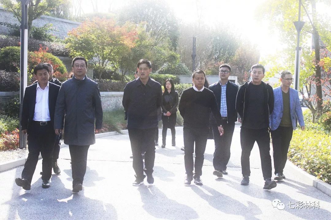 商洛市商州區(qū)區(qū)長李旭光一行調研七彩林業(yè)